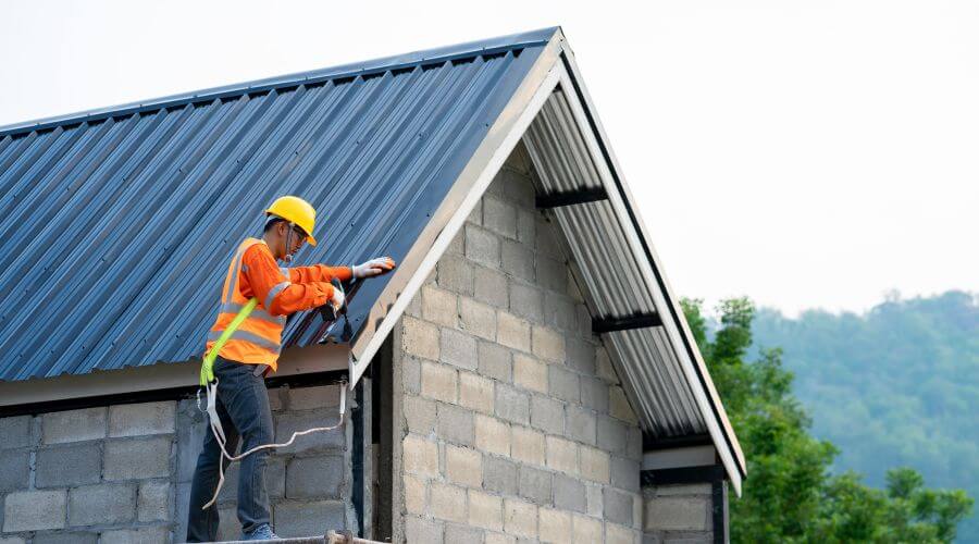 Professional gutter cleaning in Riga, MI